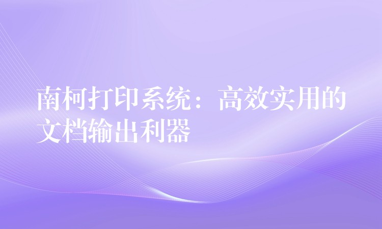 南柯打印系统：高效实用的文档输出利器